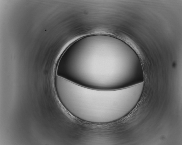 X0000098081148200804040745
