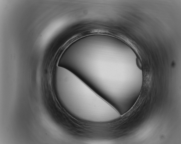 X0000098081151200804040745