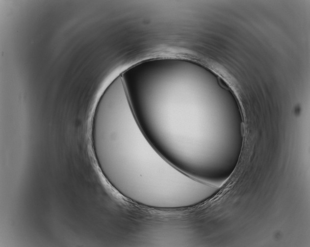 X0000098081152200804040745
