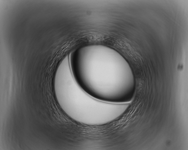 X0000098081153200804040744