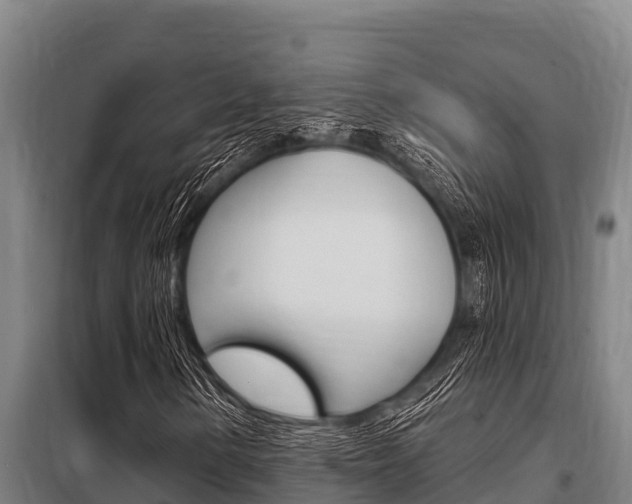 X0000098081154200804040744