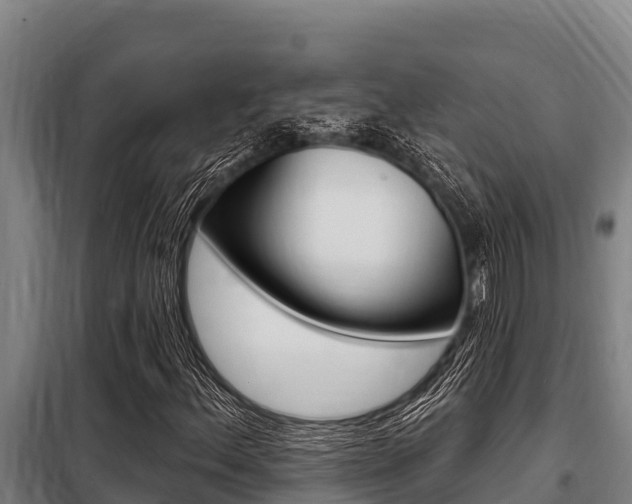 X0000098081156200804040744