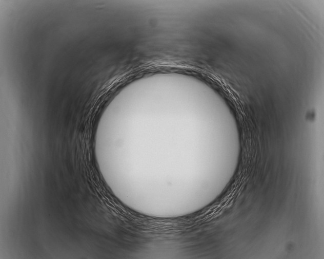 X0000098081157200804040744