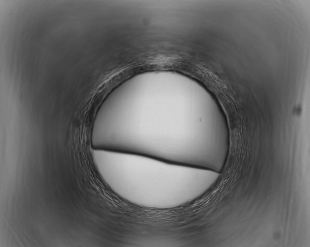 X0000098081158200804040744