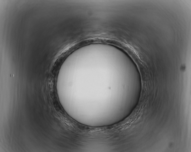 X0000098081159200804040744