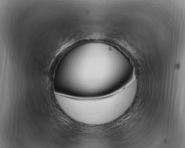 X0000098081160200804040744