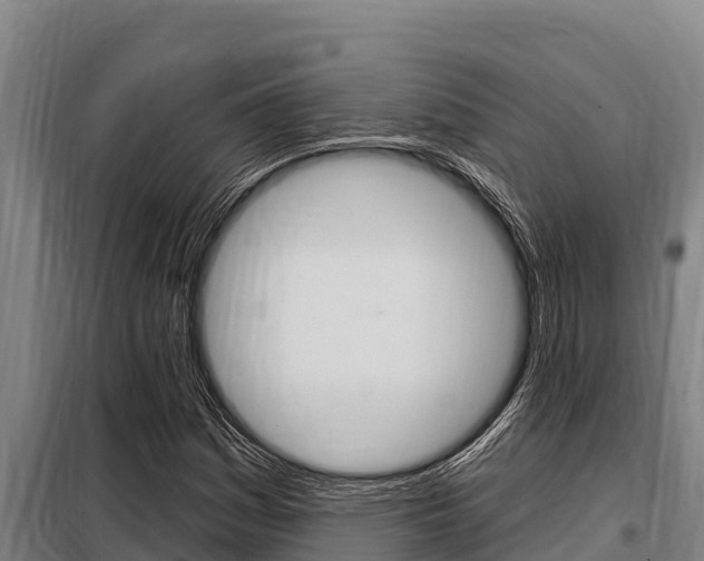 X0000098081161200804040744