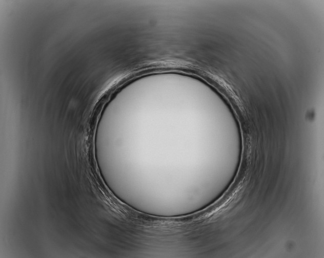 X0000098081163200804040744