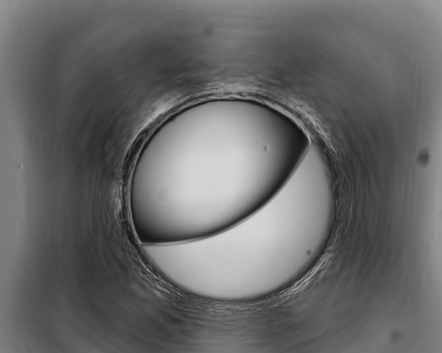 X0000098081165200804040744