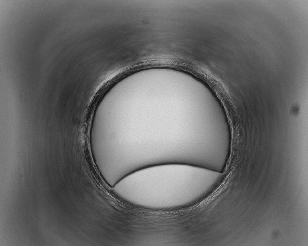 X0000098081166200804040744