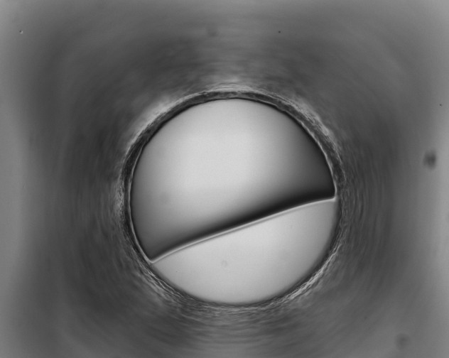 X0000098081167200804040744