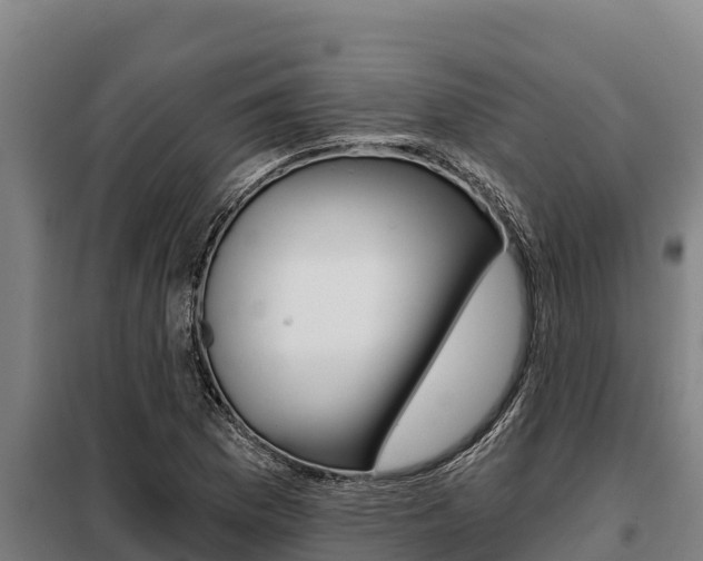 X0000098081169200804040744