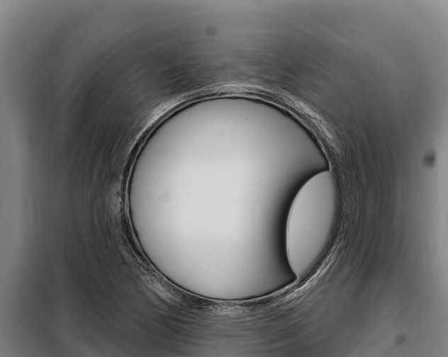 X0000098081170200804040744
