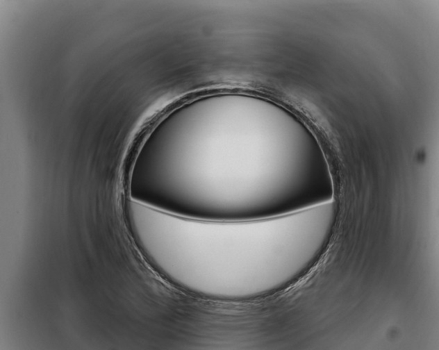 X0000098081172200804040744