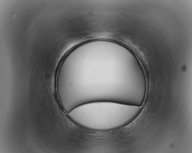 X0000098081174200804040744