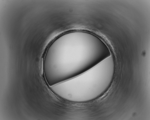 X0000098081175200804040744