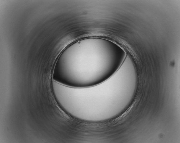 X0000098081177200804040744