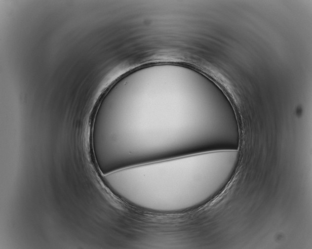 X0000098081179200804040744