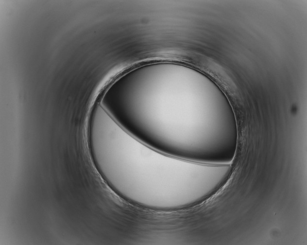 X0000098081180200804040744