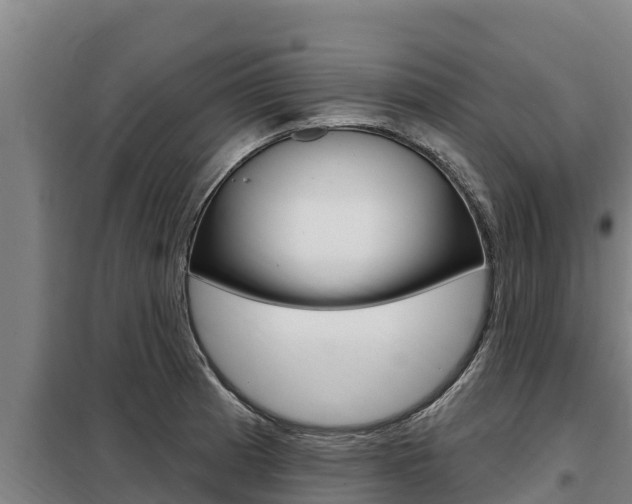 X0000098081185200804040744