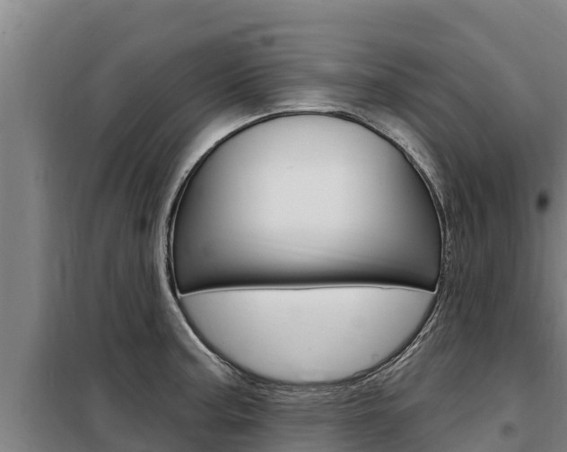 X0000098081187200804040744