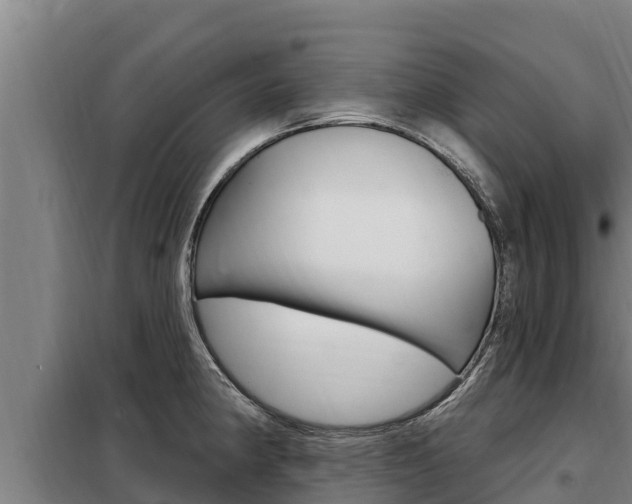 X0000098081190200804040744