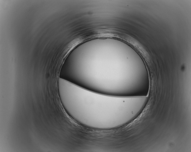 X0000098081193200804040744