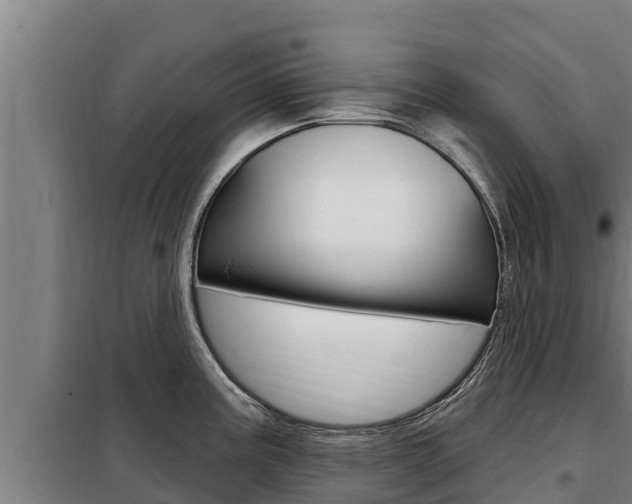 X0000098081195200804040744