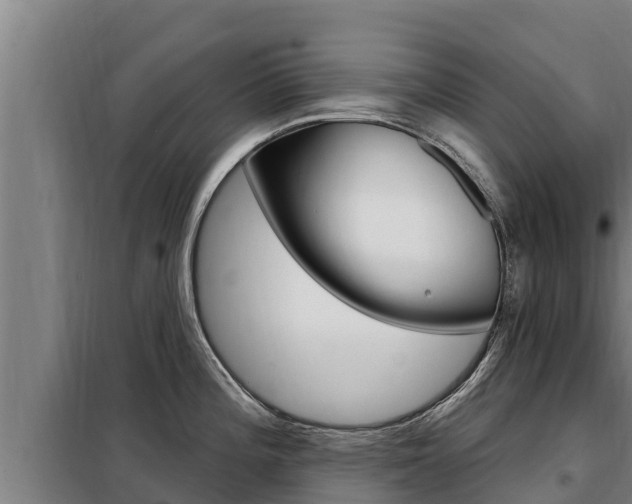 X0000098081196200804040744