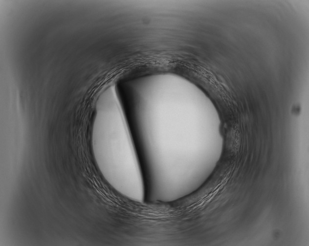 X0000098081201200804040743