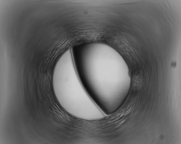 X0000098081202200804040743
