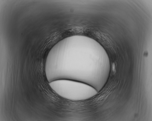 X0000098081203200804040743