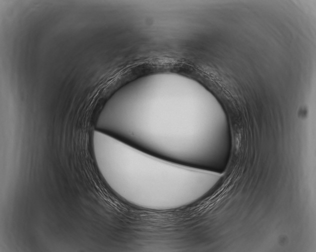 X0000098081204200804040743