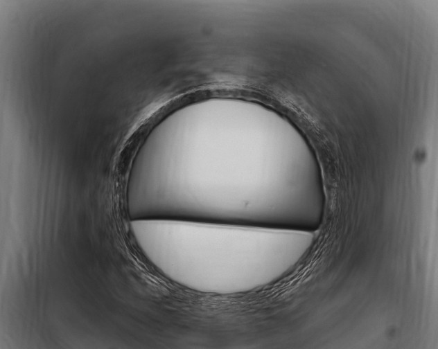 X0000098081208200804040743
