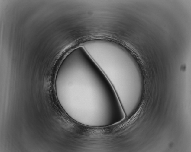 X0000098081210200804040743