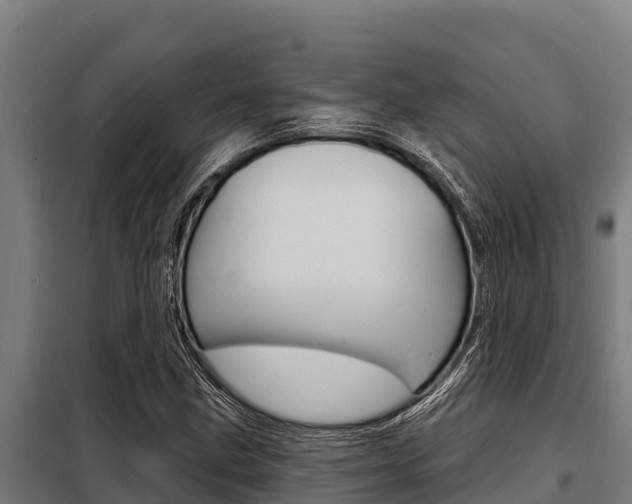 X0000098081211200804040743
