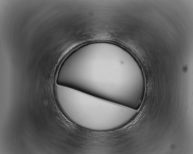 X0000098081212200804040743