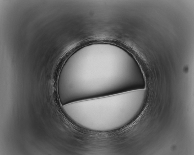 X0000098081213200804040743