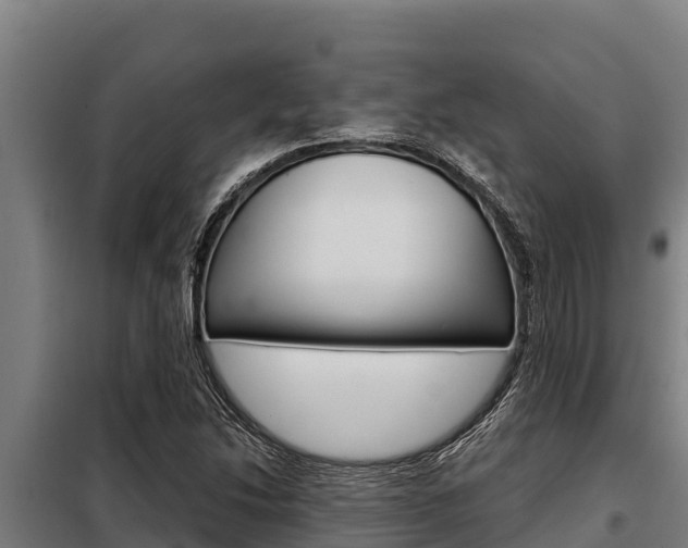 X0000098081214200804040743