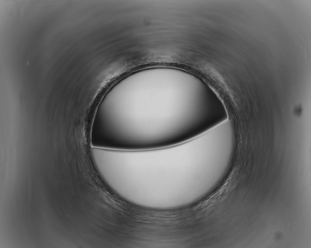 X0000098081218200804040743