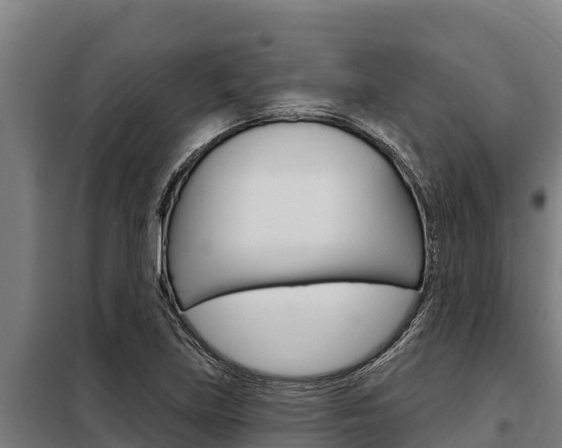X0000098081219200804040743