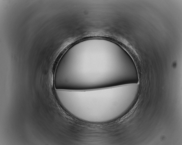 X0000098081221200804040743