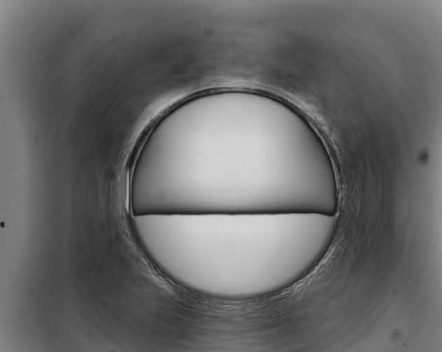 X0000098081223200804040743
