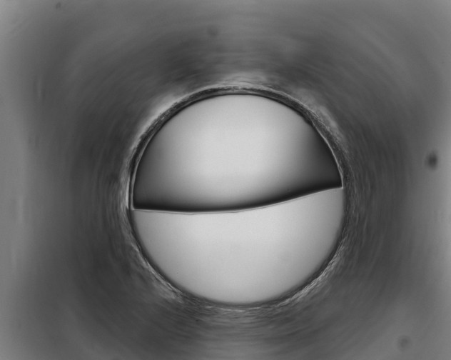 X0000098081224200804040743