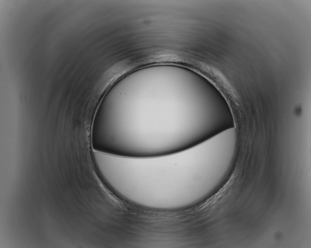 X0000098081225200804040743