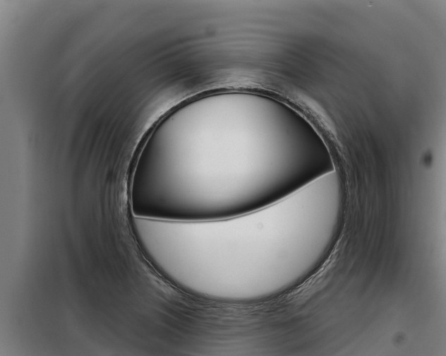 X0000098081226200804040743