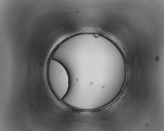 X0000098081227200804040743