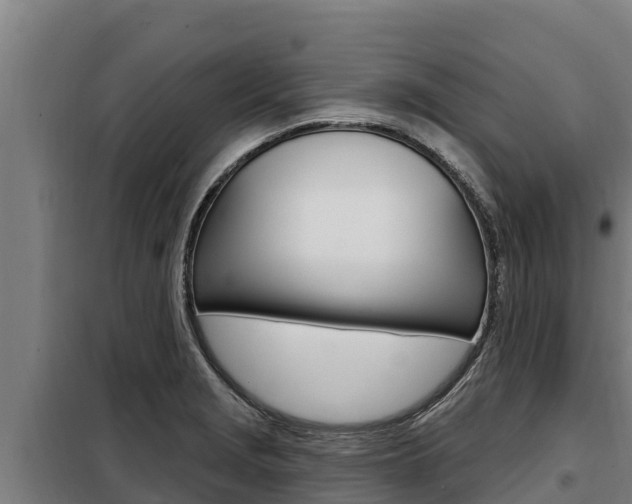 X0000098081229200804040744