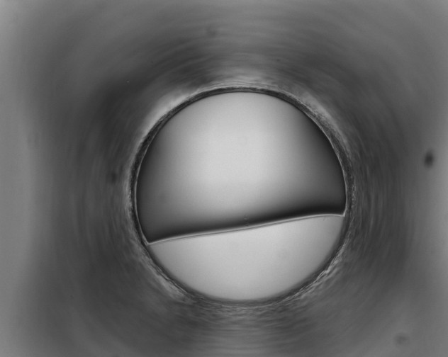 X0000098081230200804040744