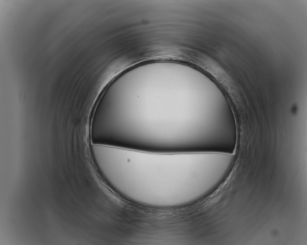 X0000098081234200804040744